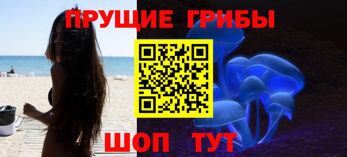 Димитровград  Псилоцибиновые грибы мухоморы  купить наркоту  Вход с VPN 