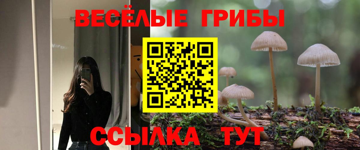 Галлюциногенные грибы прущие грибы Димитровград
